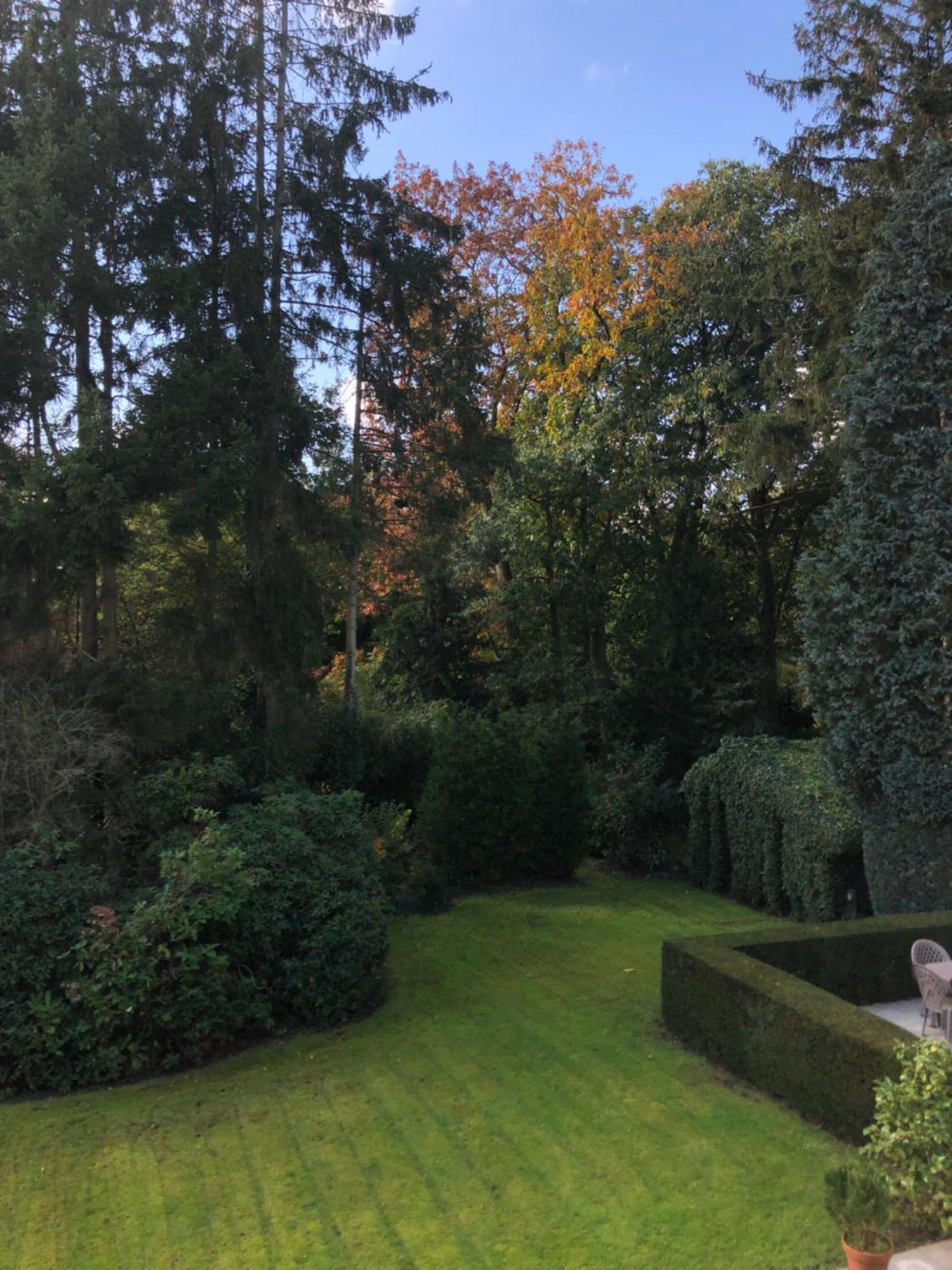 B&B Lobelia-Brugge Экстерьер фото